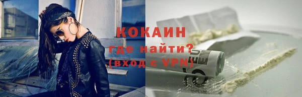 твердый Чекалин