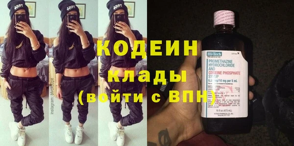 мдпв Вяземский