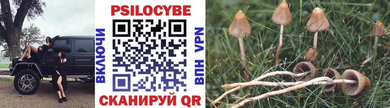 Галлюциногенные грибы мицелий  Заволжье 